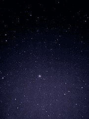 프로그래밍 만든 것