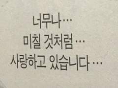 엔시티 나페스 추천