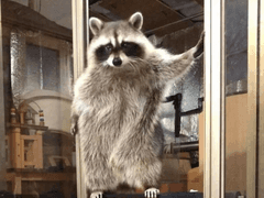 악인 18명의 문단속 15 마이럽, 또 다른 사랑은 괜찮아? (3)