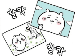 하치와레와 카메라