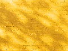 리벨론 펠레시안 / xy / 후플푸프 / 머글본