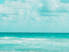 [돌핑] 충동, 그리고 만남 _01