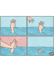 아보카도 에디션