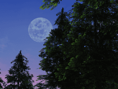 Eclipse, 진리의 끝에서.