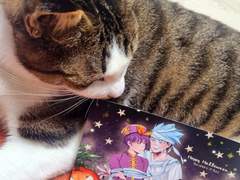 [샤먼킹/호로렌] 2023 할로윈 엽서 나눔