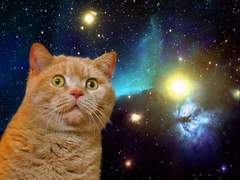 상호지수 맛있다 비계 썰 백업