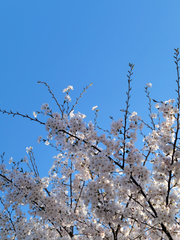 김러뷰의 앙스타 단편 모음