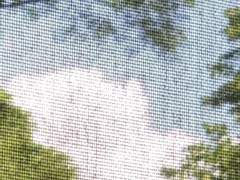 여름 하늘에 소낙비 𝗣𝗿𝗼𝗹𝗼𝗴𝘂𝗲