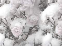 당신의 이름을 부르며