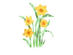 [청명소병]쓸모없는 가이드 1