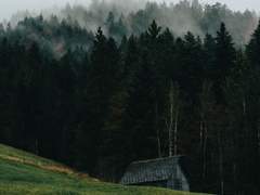 유령이 걷는 길