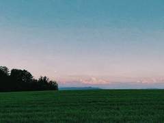 나를 위로하다.