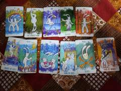 하제 관계 타로