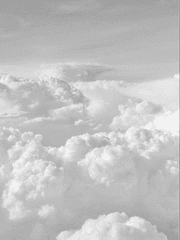 유명인 사주풀이