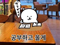 나는 행복을 삶의 목표로 하지않기로 했다.(일기)