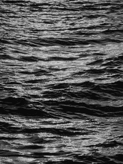 중편 / 단편 모음집