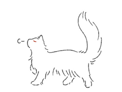 제파르 발렌시아의 과거-인터뷰 정리본