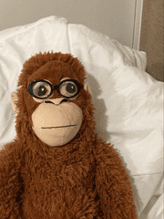 귀욤 ㅂ봇짝 시라톨 매니저