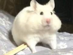 피부를 하얗고 밝게 만드는 방법