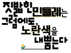 짓밟힌 민들레는 그럼에도, 노란색을 내뿜는다