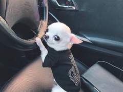 동질혼 하지마세요...