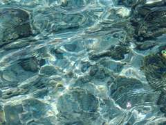 당신을 닮았던데