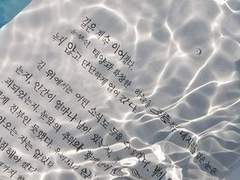 어리숙한 문장 속으로