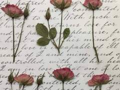 우표도 붙이지 않은 편지지는