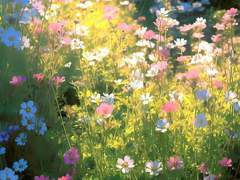 비가 그쳐도 내 곁에 있을 거야?