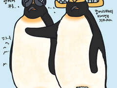 황제펭귄들이랑 쪼고미들