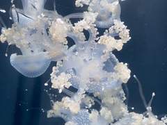 눈은 그 사람의 마음을 닮는댔다