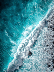 [어바등] NCP 연성 모음