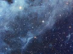 사랑해 마지않는