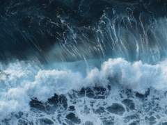 이 선/18/Xy/육상부