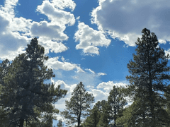 [공지] 행사 및 신간 관련 안내 (겨울바람 형산에 닿아 비공개 전환 예정)