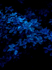 2차 창작은 아니고 분석? 감상? 등