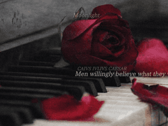 Sheldon.L.Wright | 38 | 불신