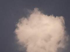 [여름]크리미 포테이토 치즈