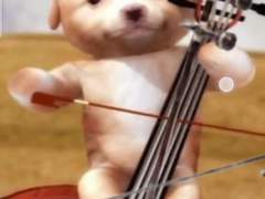 취미로 해금 배우기 1