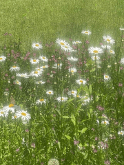 Should I promise forever?