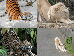 트위터 보다가 문득…