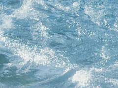 말 안 되는 거 아는데