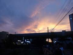 [하쿠카이] 내 대답은 들어주지도 않고