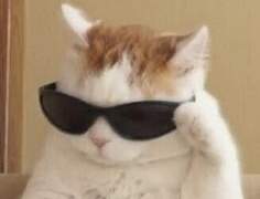 당신의 자녀의 아빠를 골라보세요! +