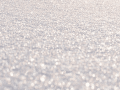 여름눈 Epilogue. 김준수의 편지