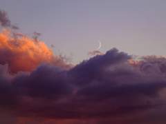 2023 웹툰 트럼프 여름합작