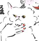 BONUS 휴지통 - 매일의 조각