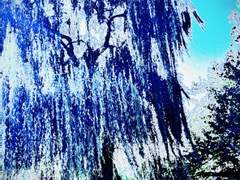 [옅은마음/기록]4-스치는 일