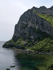 [제주도 수학여행]