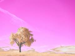 김민수(kim Min-su)